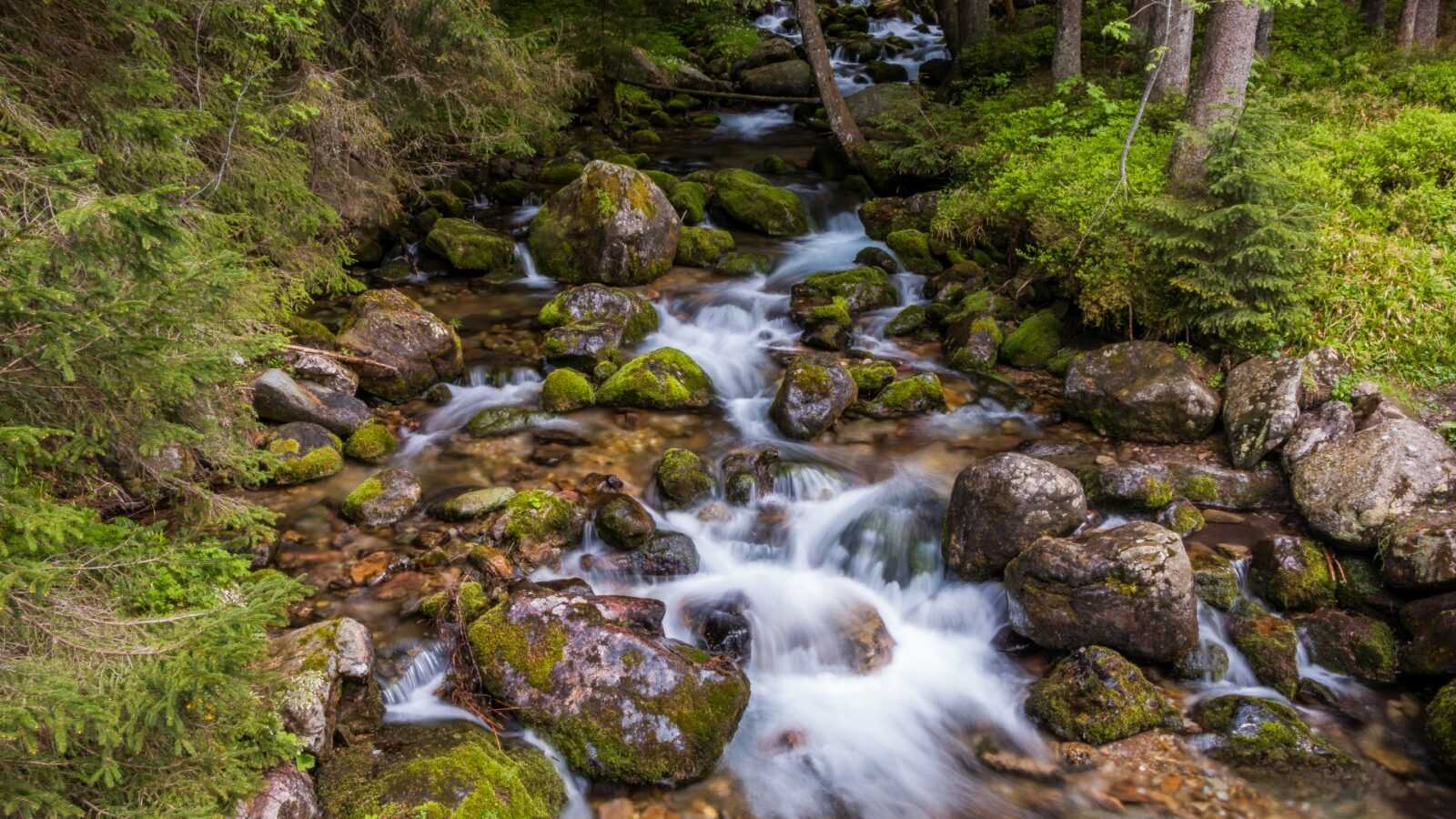 fotograf poznań